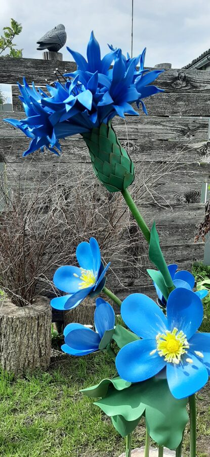 Zilo vizbuļu ziedi